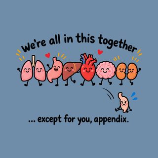 Funny Organs Except Appendix T-Shirt, Funny Medical Anatomy Shirt