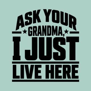 Ask Your Grandma Funny Grandma Shirt Sarcastic Saying Graphic Tee
