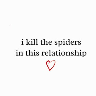 I Kill The Spiders In This Relationship. Funny Partner Hero T-Shirt