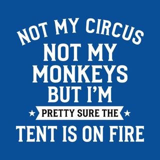 Not My Circus Not My Monkeys But I'm Pretty Sure The Tent Is On Fire funny shirt