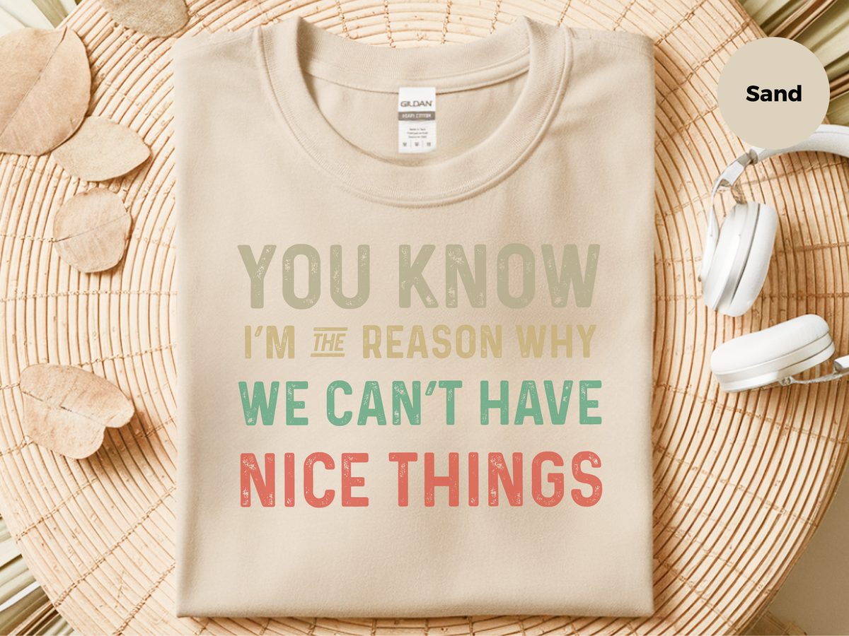 I'm The Reason We Can't Have Nice Things Funny Relatable Tee Shirt