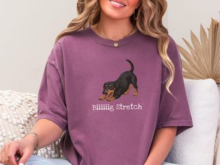 Dachshund Play Big Stretch doodle dog shirt - photo 3