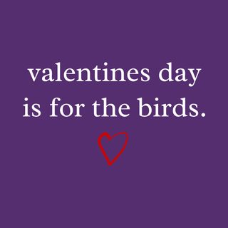 Valentines Day Is For The Birds Sarcastic Anti-Love Single Tee