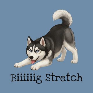 Husky Big Stretch Funny Siberian Husky Dog Lover T-Shirt Design