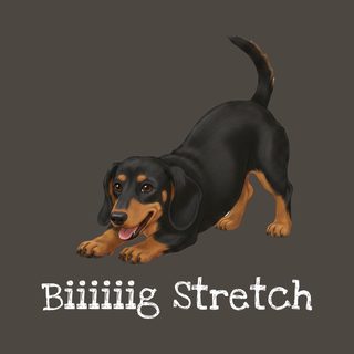 Dachshund Play Big Stretch Comfort Colors Doxie Mom Tee