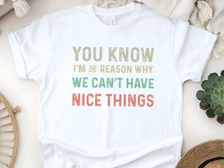 You know, I’m the reason we can’t have nice things. funny shirt - photo 3