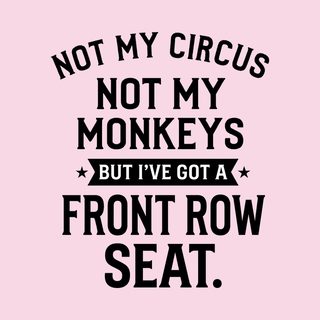 Not My Circus Not My Monkeys But I've Got A Front Row Seat Tee
