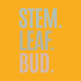 Stem. Leaf. Bud. Plant Anatomy Structure Botanical Knowledge T-Shirt