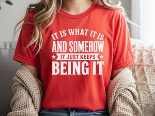 It Is What It Is…and Somehow It Just Keeps Being It funny shirt - photo 8
