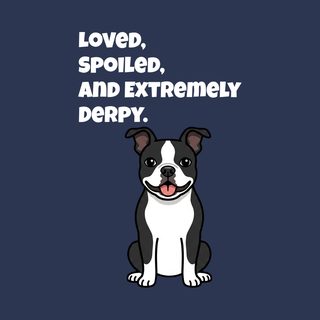 Derpy Boston Terrier Comfort Colors Shirt Funny Dog Lover Gift