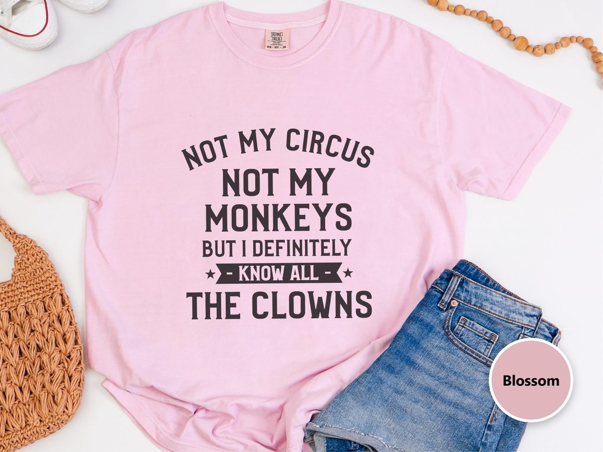 Not My Circus Not My Monkeys But I Definitely Know All The Clowns