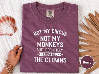 Not My Circus Not My Monkeys But I Definitely Know All The Clowns funny shirt - photo 6