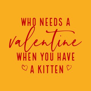 Cute Kitten Valentine's Day Shirt for Cat Lovers & Pet Parents