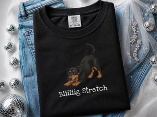 Dachshund Play Big Stretch doodle dog shirt - photo 1