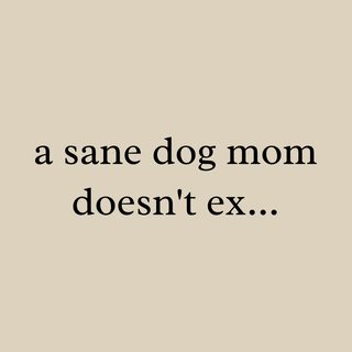 Relatable Sane Dog Mom Doesn't Exist Funny T-Shirt for Dog Lovers