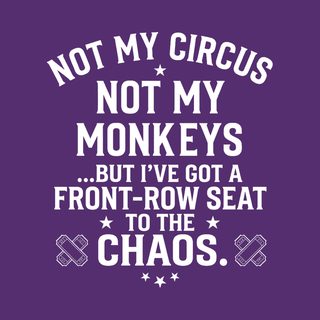 Not My Circus Not My Monkeys Front Row Seat Chaos Sarcastic Tee