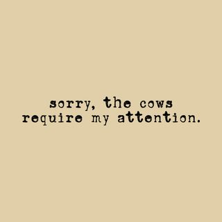 Cows Require My Attention Funny Cow Shirt Comfort Colors Farmer Gift