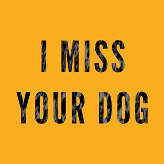 I Miss Your Dog. Dog Lover Pet Loss Sympathy Gift T-Shirt.