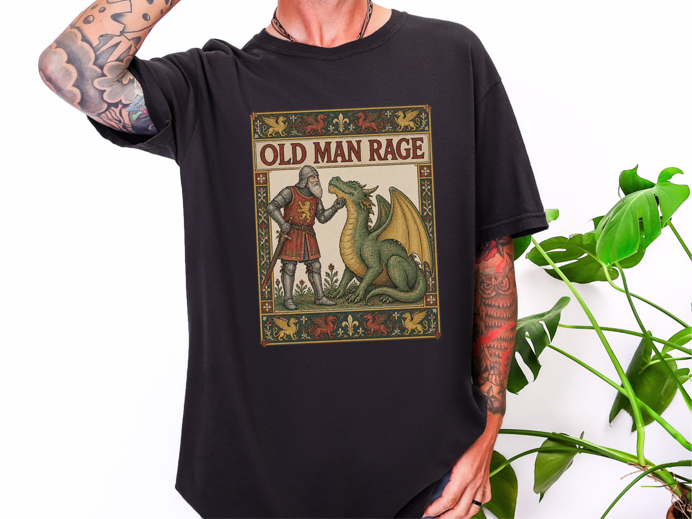 Medieval Knight Petting Dragon