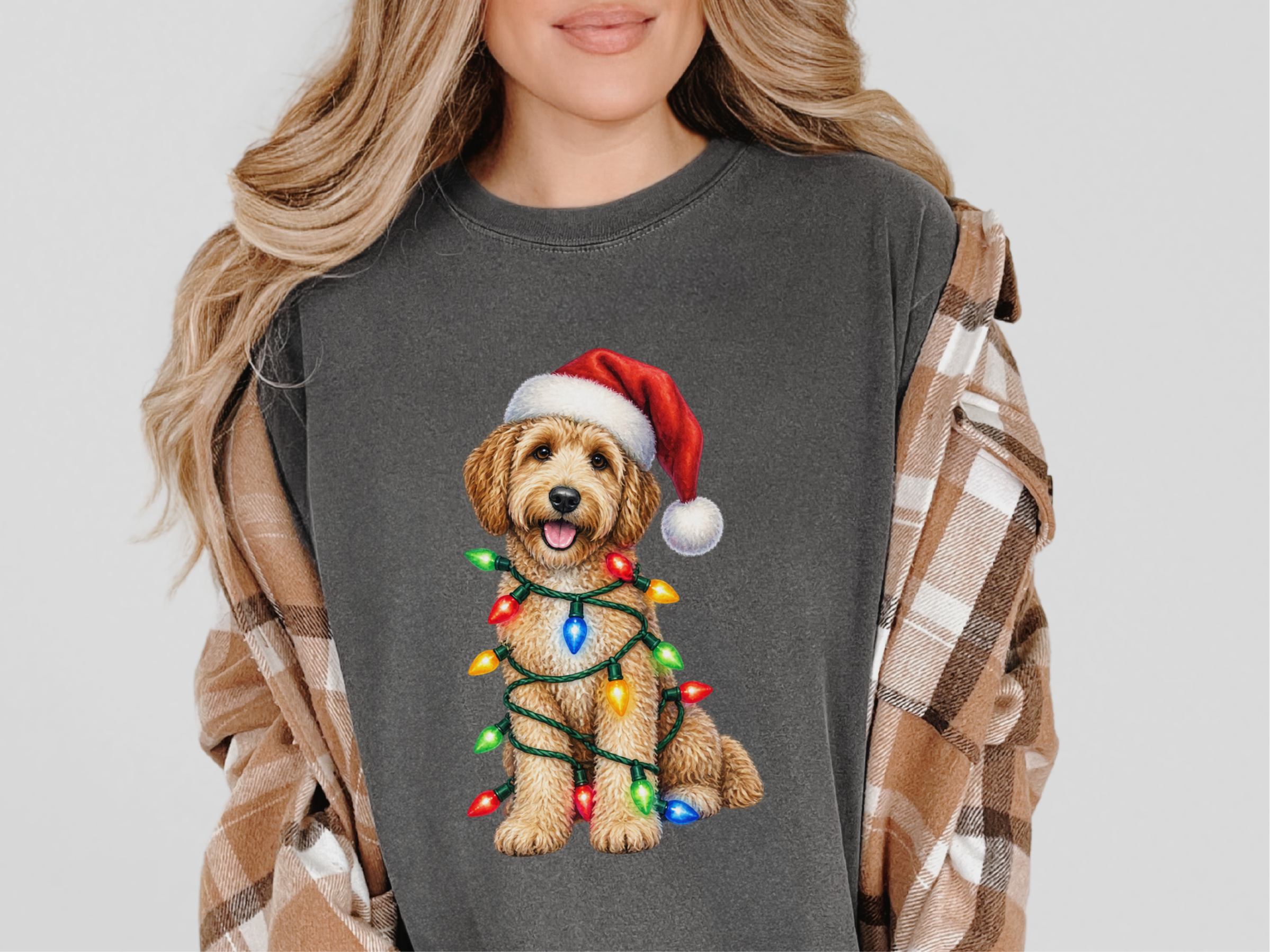 Goldendoodle Christmas Lights Santa Hat - photo 4