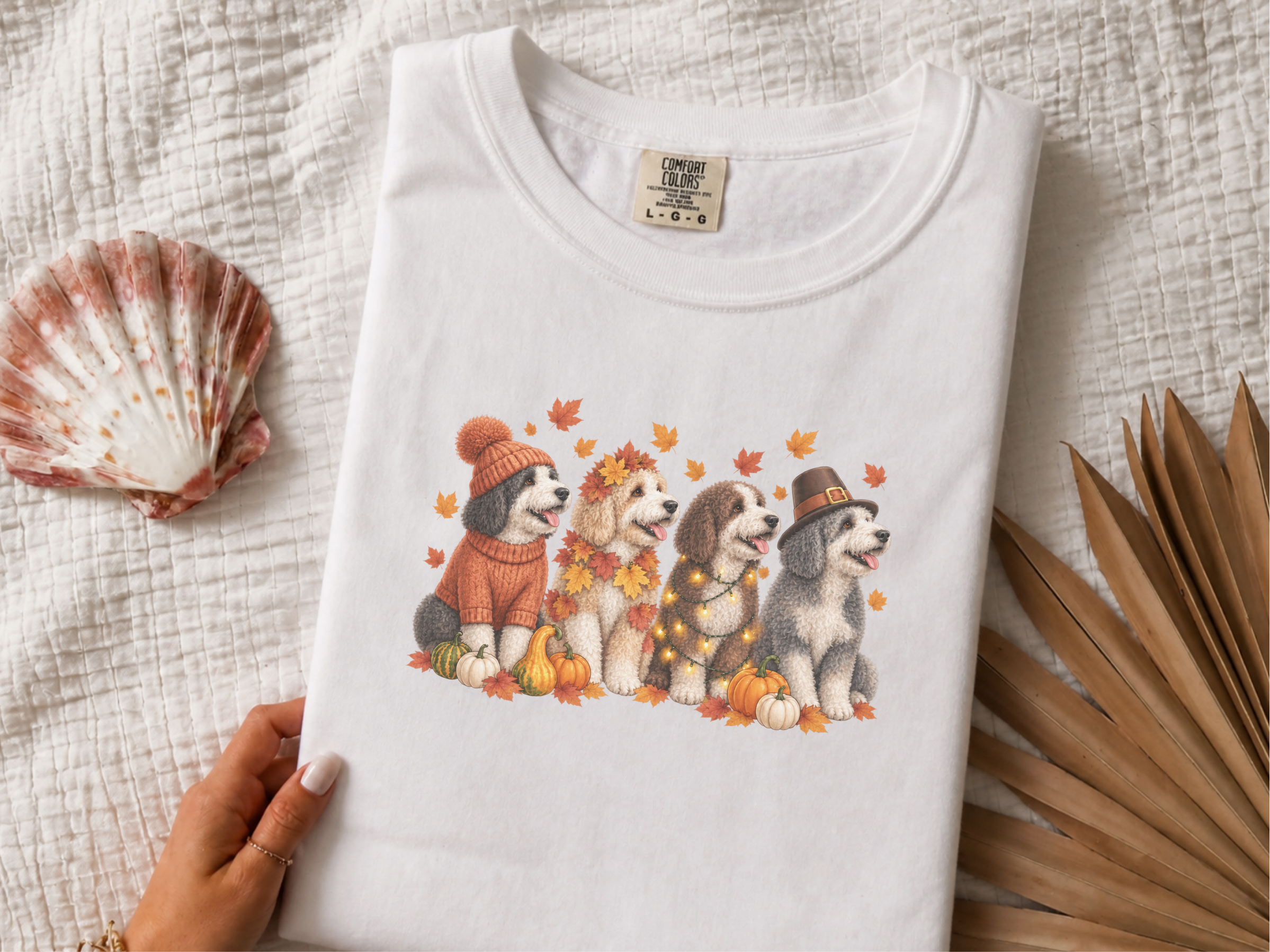Autumn Sheepadoodles With Pumpkins