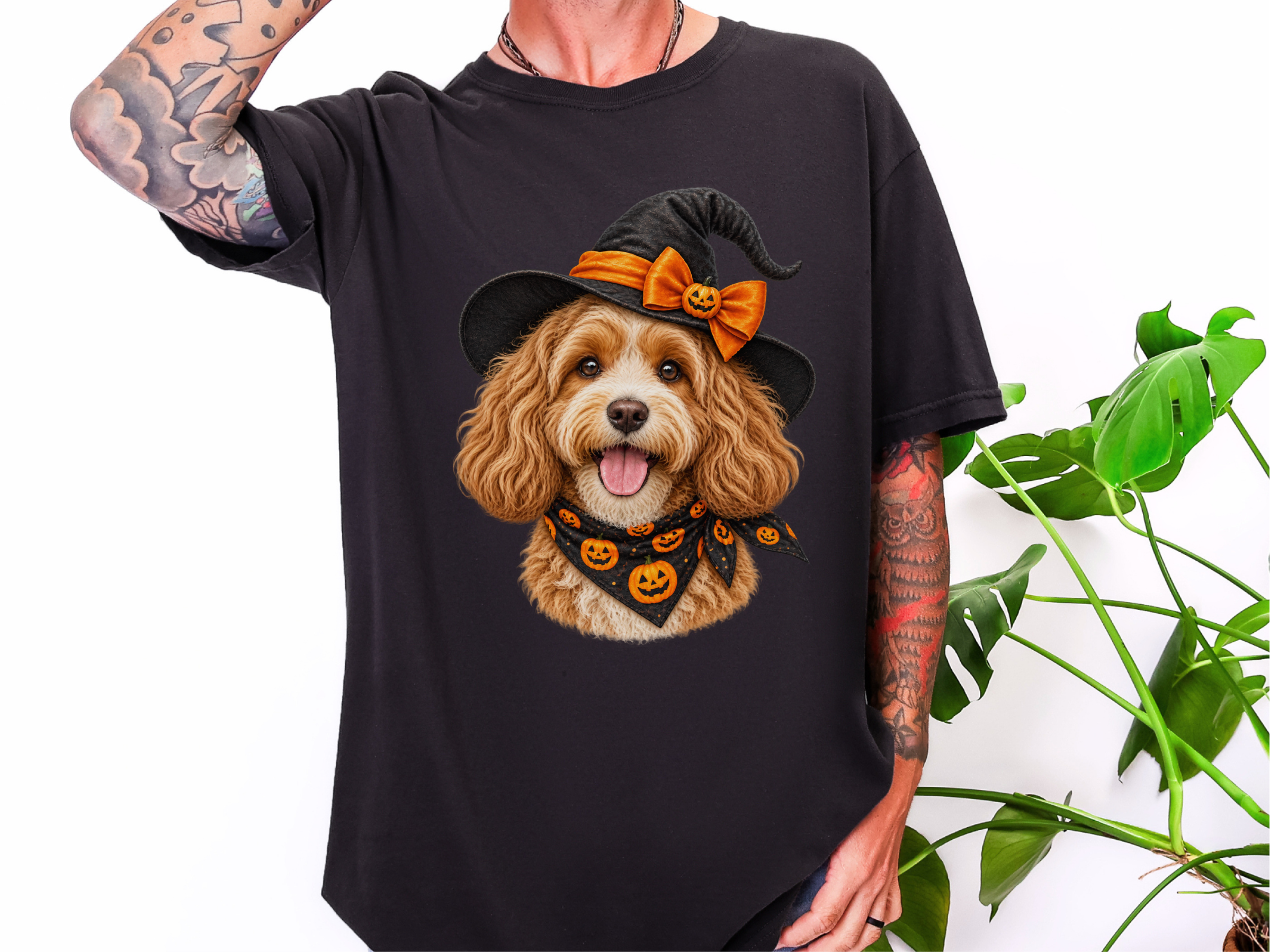 Cavapoo Witch Hat Halloween - photo 5