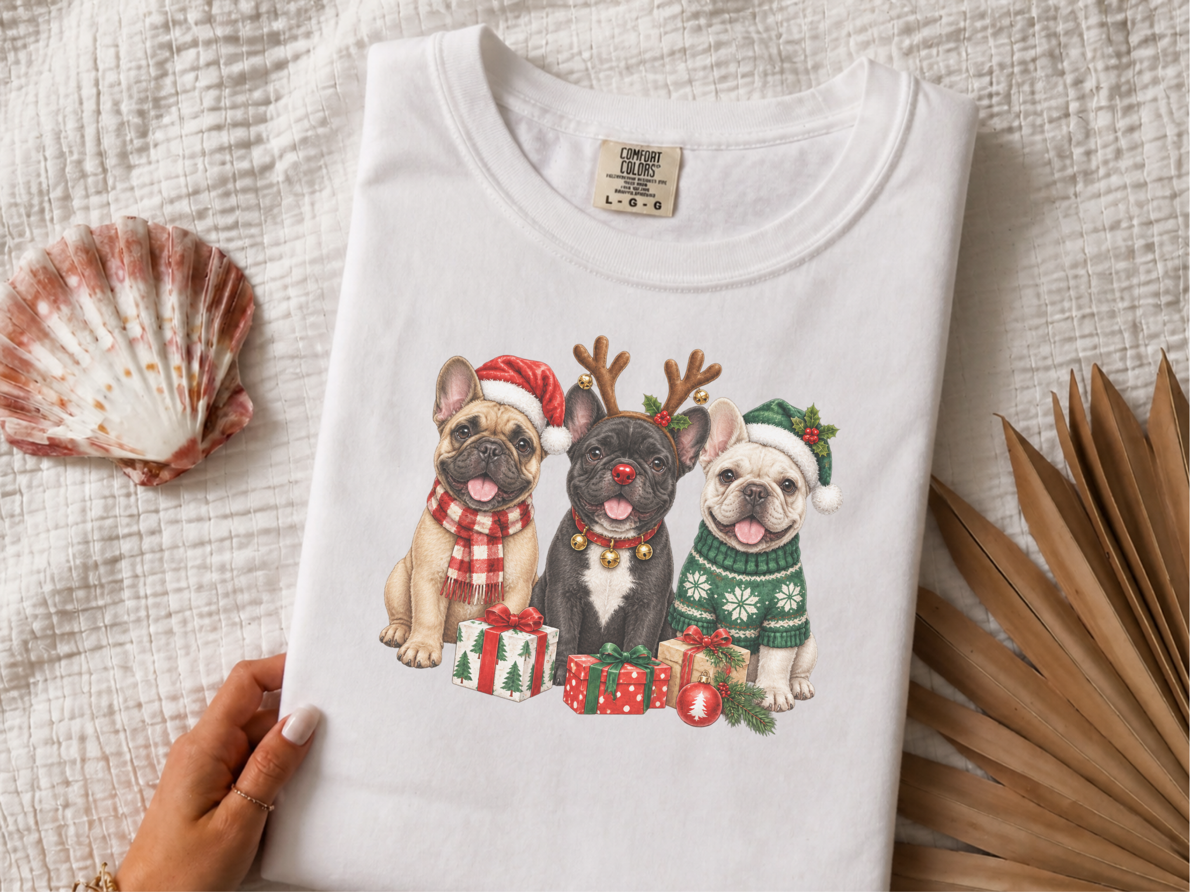 Three French Bulldogs Christmas