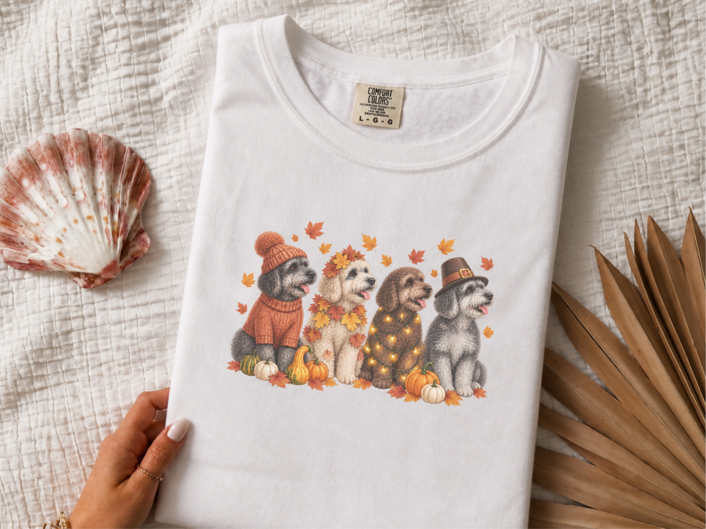 Four Schnoodles Fall Pumpkins