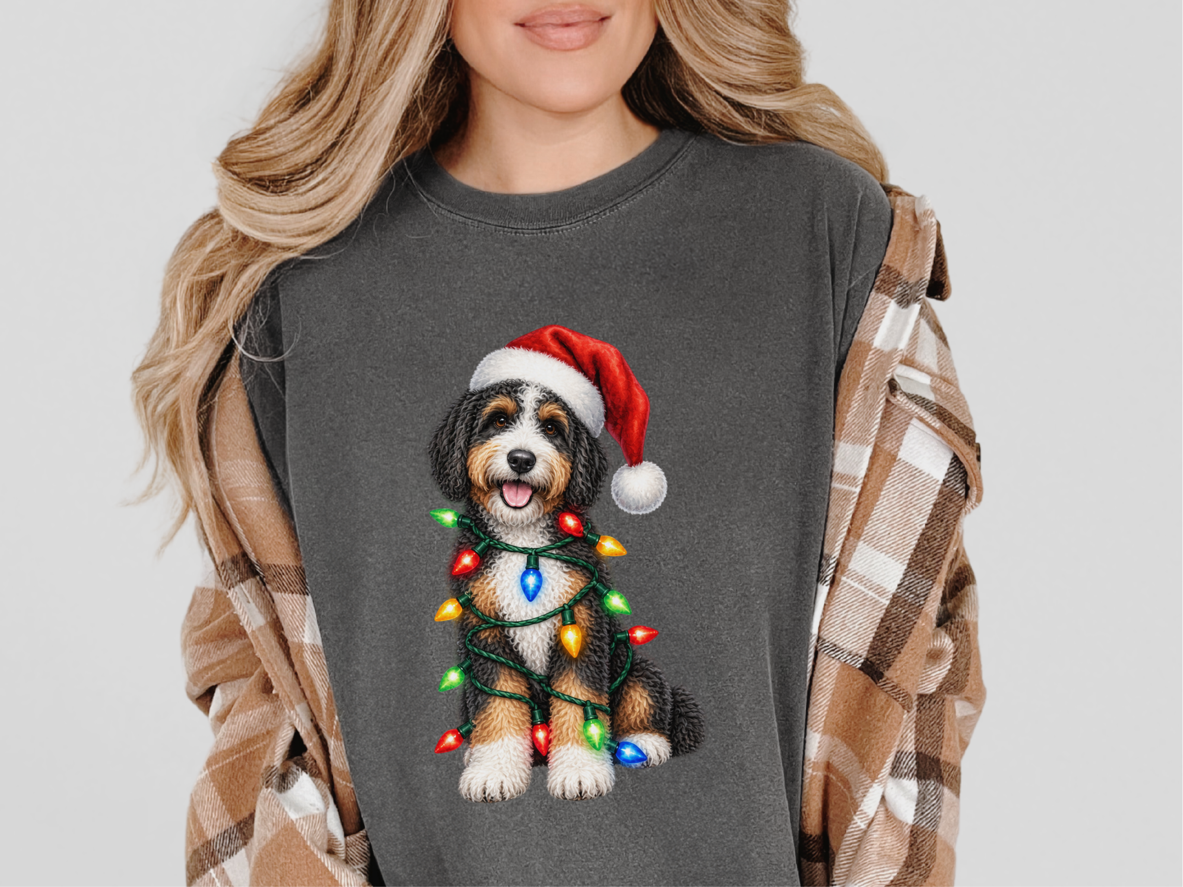 Bernedoodle Christmas Lights Santa Hat - photo 3
