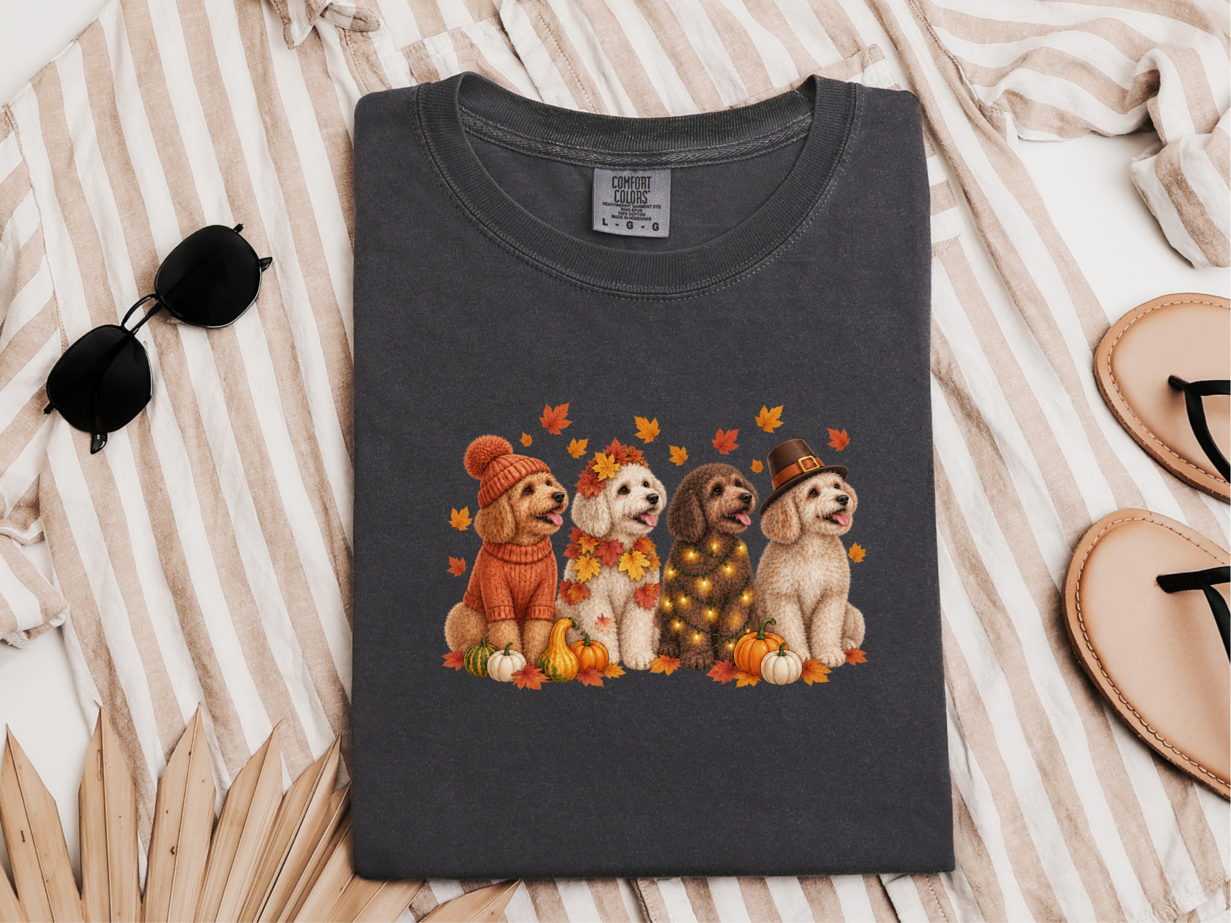 Maltipoo Fall Harvest Lineup