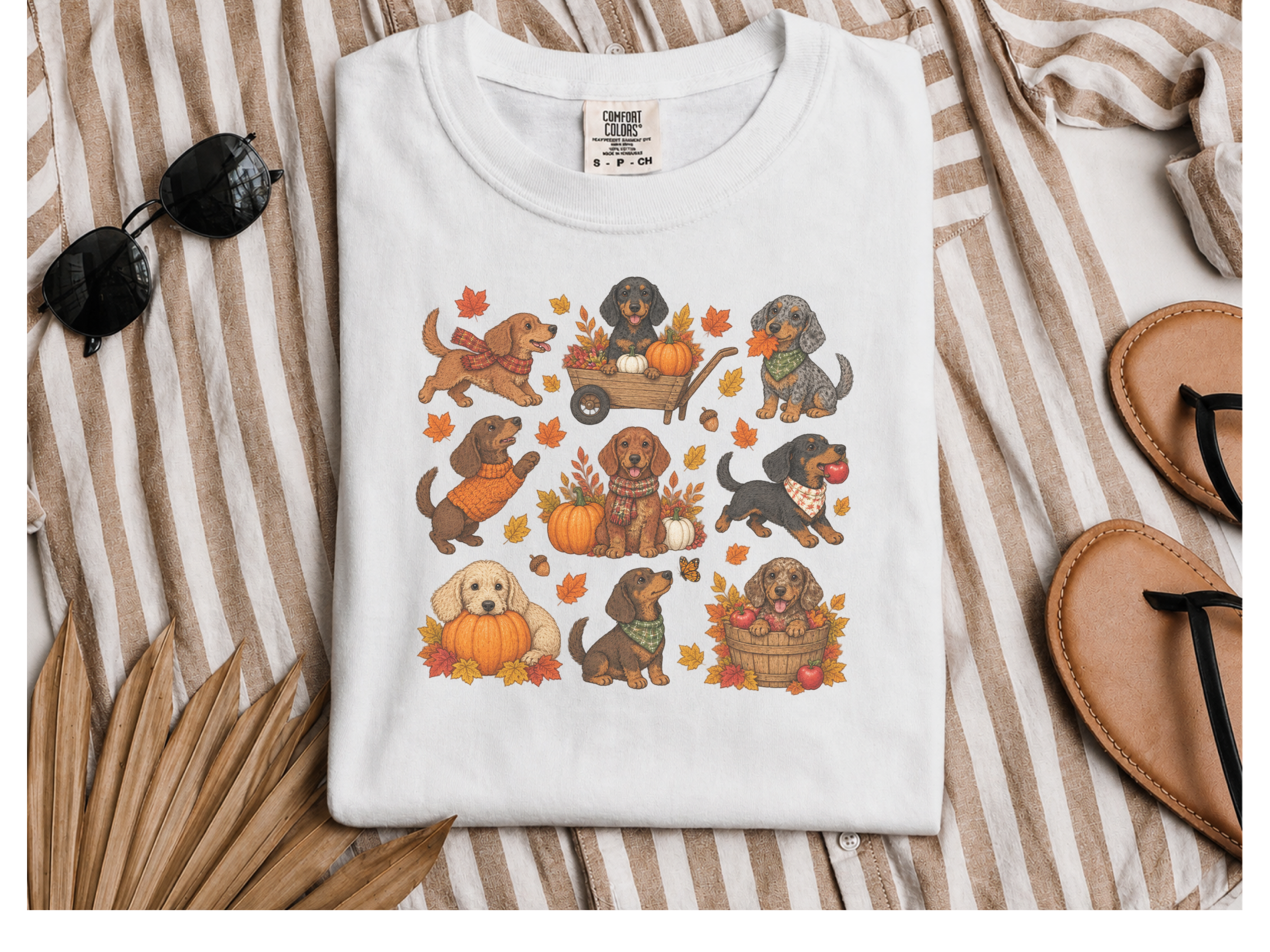 Colorful Dachshund Fall Activities Clipart doodle dog shirt - photo 3