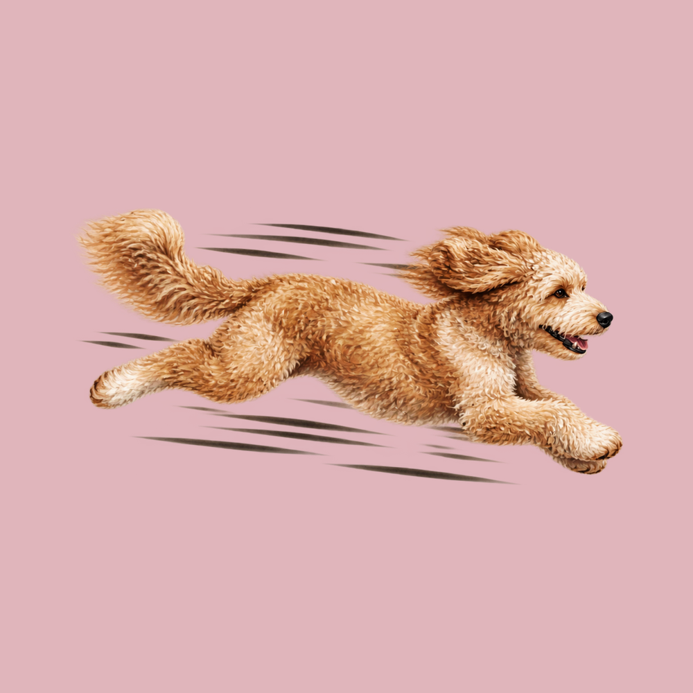 Fast Running Goldendoodle Speed T Shirt - Golden Doodle Gift Tee