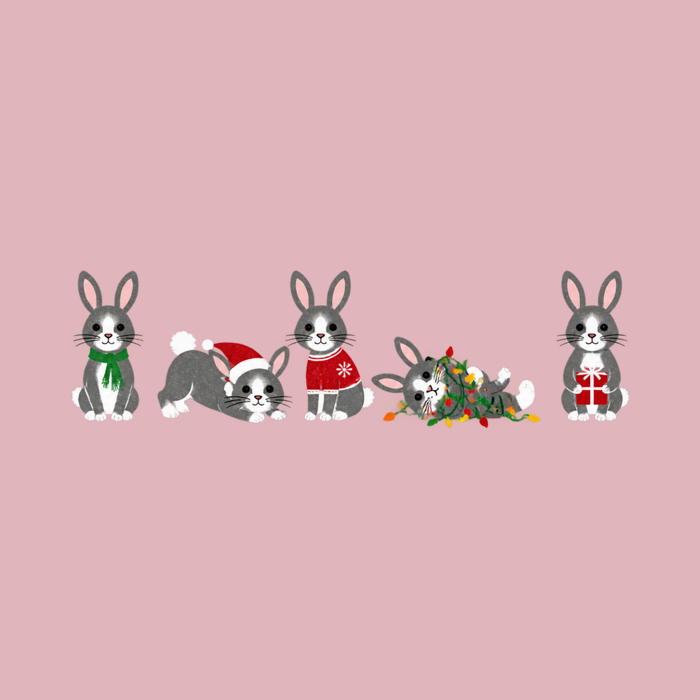 Christmas Bunny Rabbit Lineup Comfort Colors Holiday Pet Shirt