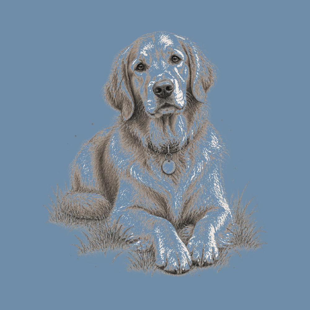 Golden Retriever Lying In Grass Vintage Wash Comfort Colors Shirt