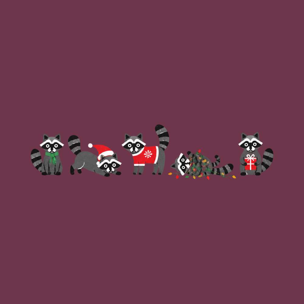 Christmas Raccoons Festive Lineup T-Shirt, Funny Trash Panda Shirt