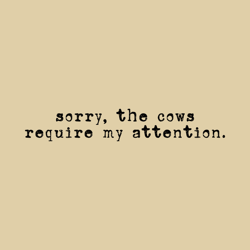 Cows Require My Attention Funny Cow Shirt Comfort Colors Farmer Gift